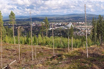 Autovuokraamo Borlänge