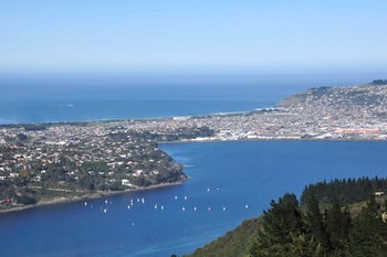 Biluthyrning Dunedin