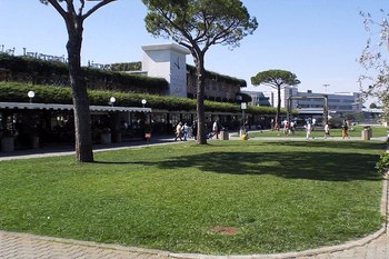 Alquiler de vehículos Pisa Aeropuerto